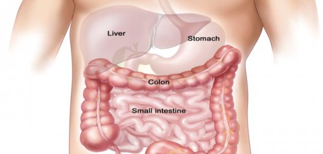 اعراض القولون الهضمي - تعرف غ اعراض الاصابه بالقولون 326642