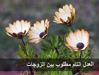 قصص غيرة زوجات الرسول , حكايات من ايام الرسول